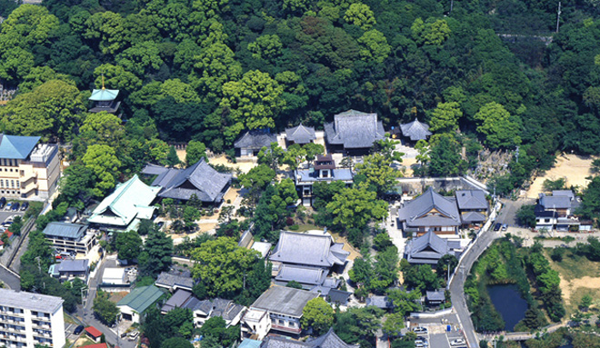 上空写真