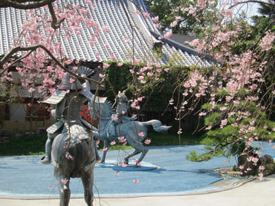 源平の庭の桜