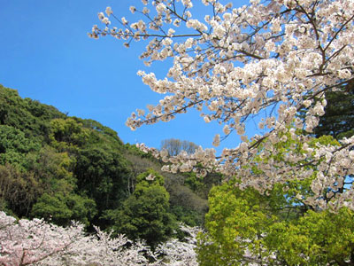 須磨寺公園