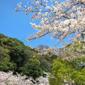 須磨寺公園