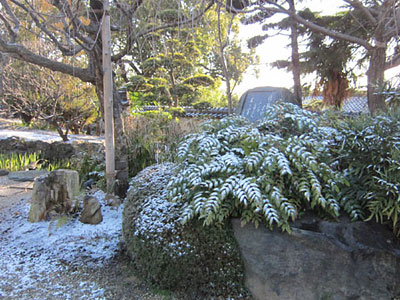 流水園