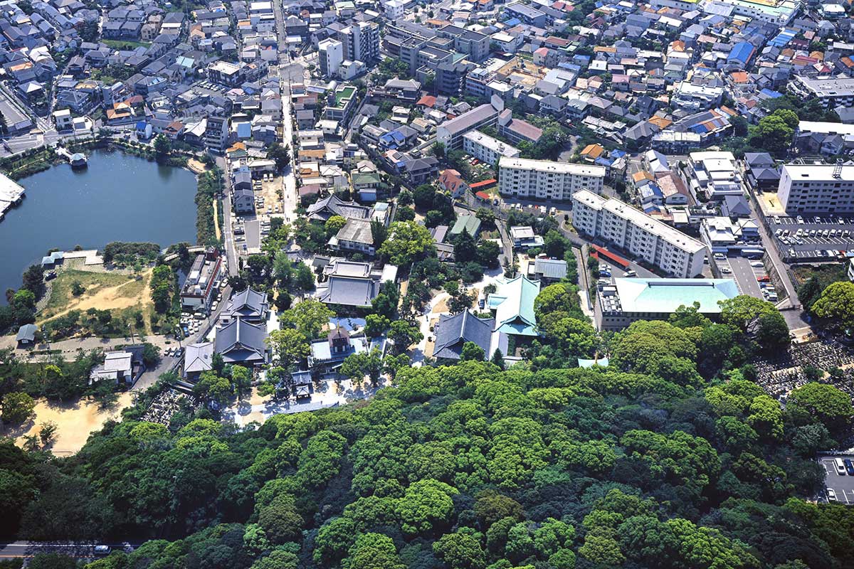 須磨寺全景